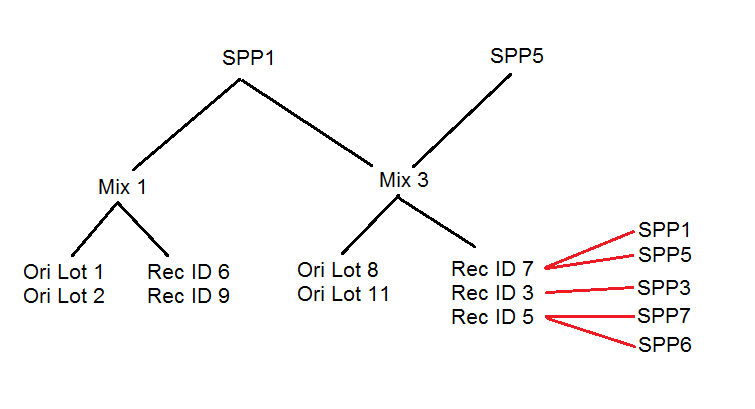 PRODUCTION TREE.png